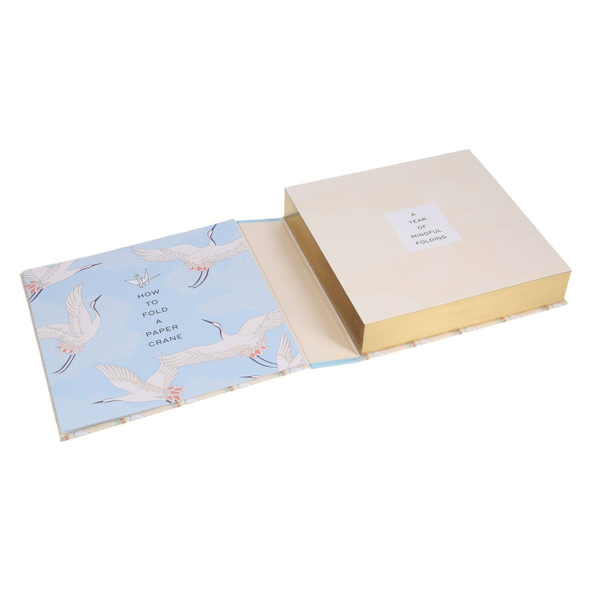 Paper Crane a Day - Box Turtle