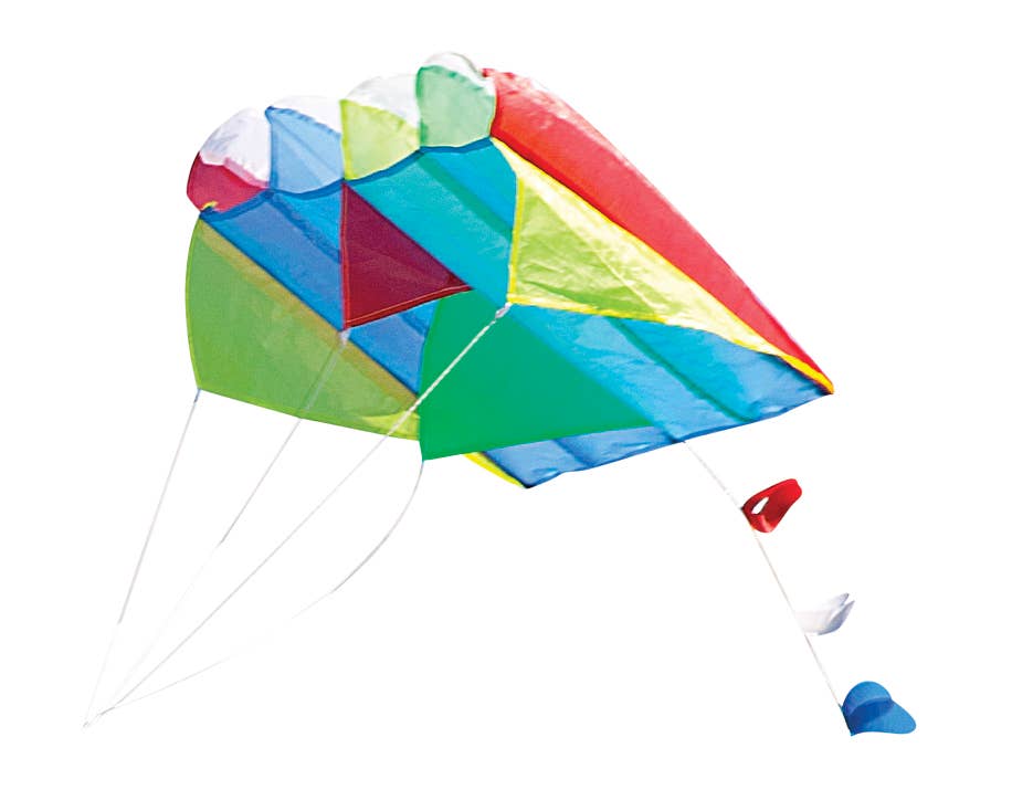 Parafoil Kite - Box Turtle
