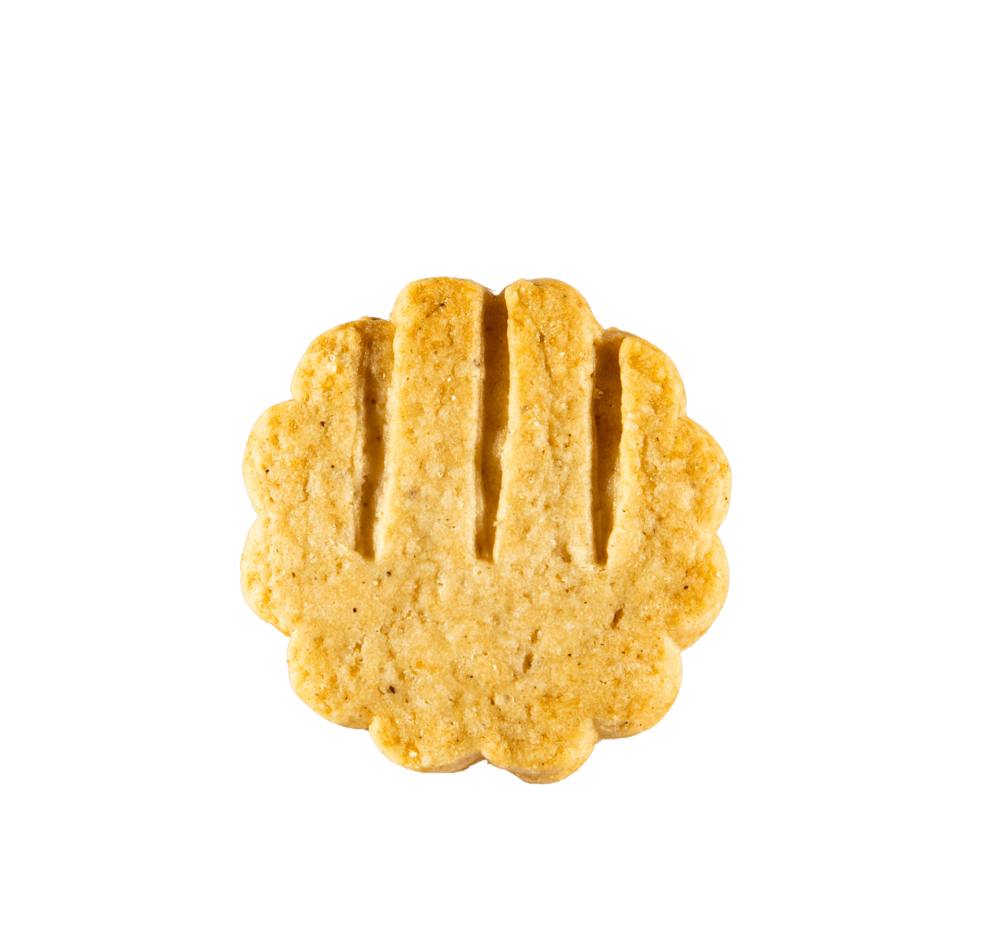 Parmesan & Black Pepper Shortbread Crisps - Box Turtle