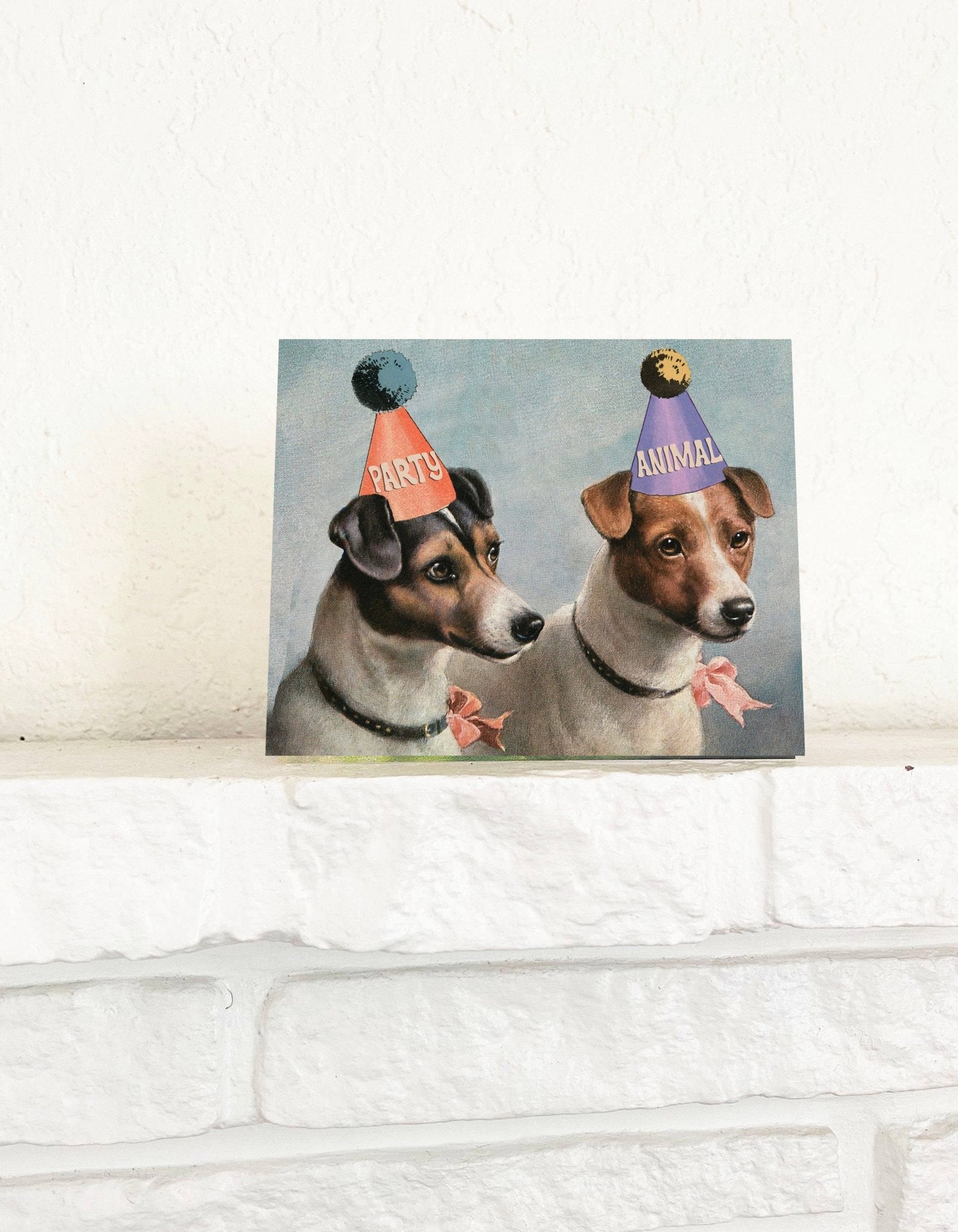Party Animal Dogs Cute Birthday Celebration Card - Box Turtle