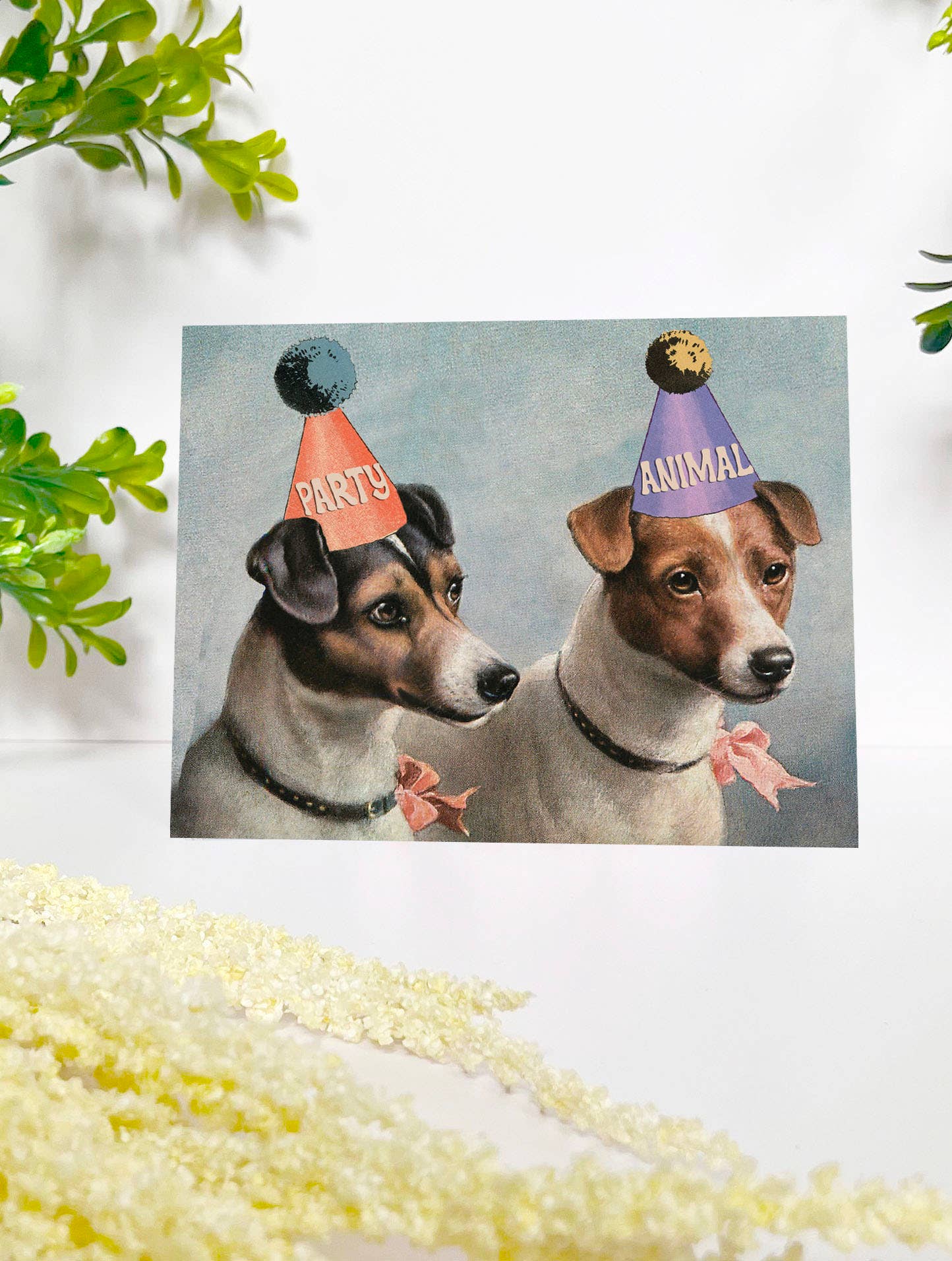 Party Animal Dogs Cute Birthday Celebration Card - Box Turtle