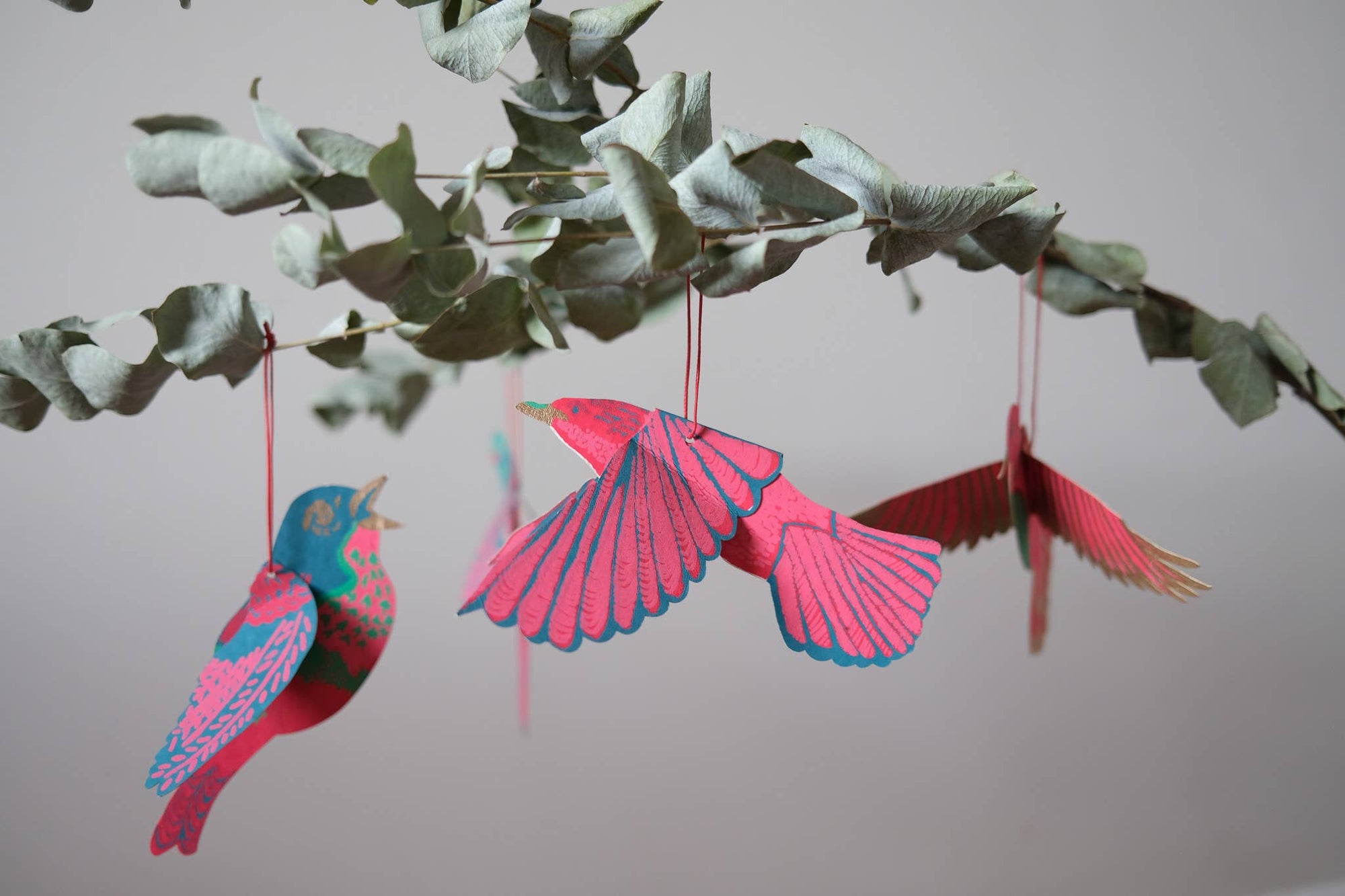 Party Birds Paper Ornaments - Box Turtle