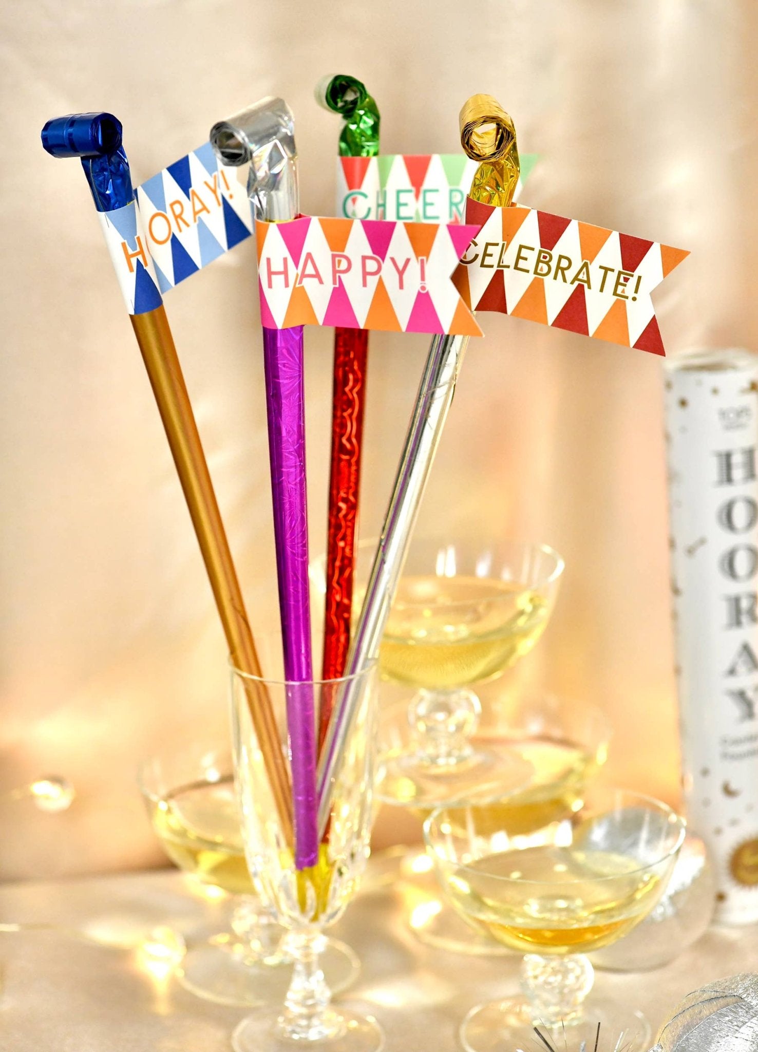 Party Horn Bouquet - Box Turtle