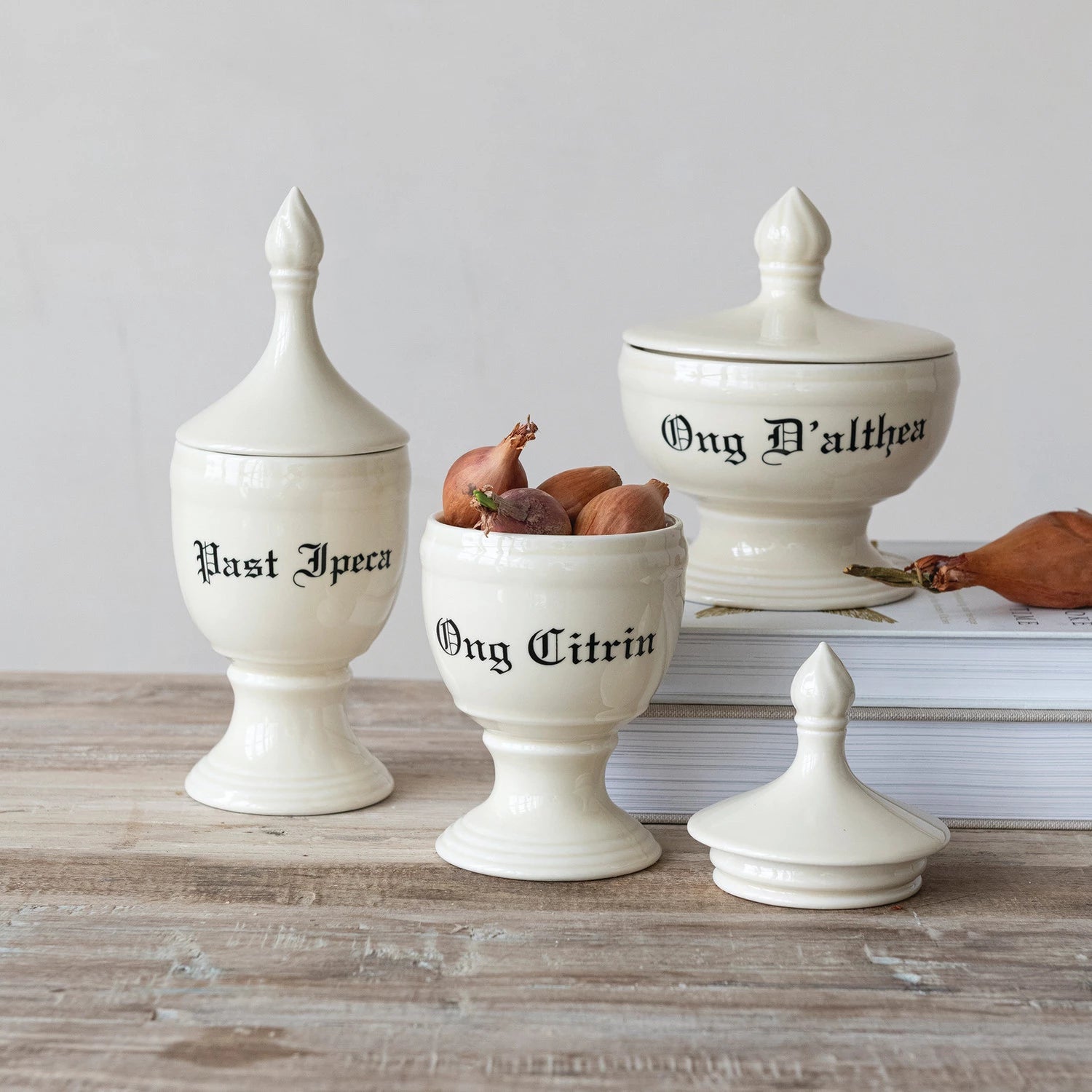 Past Ipeca Apothecary Canister - Box Turtle