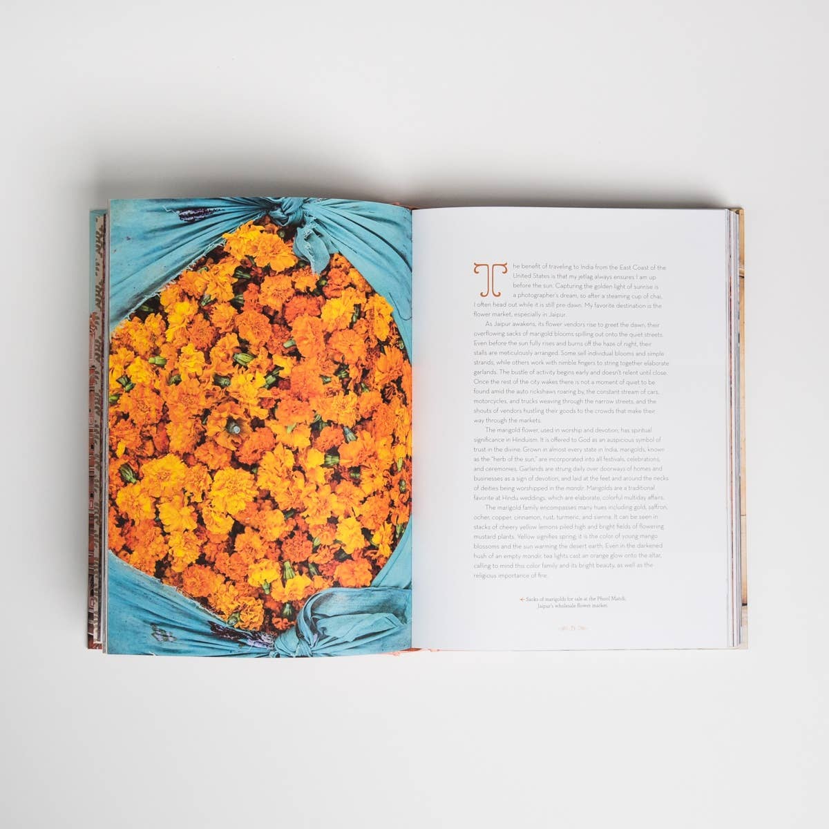 Patterns of India - Box Turtle