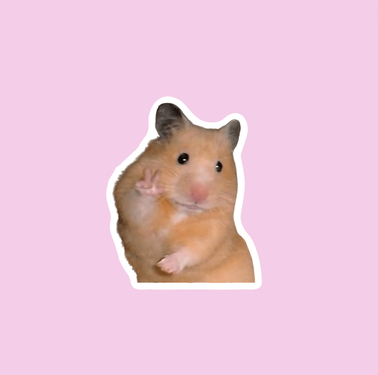 Peace Sign Hamster Sticker - Box Turtle