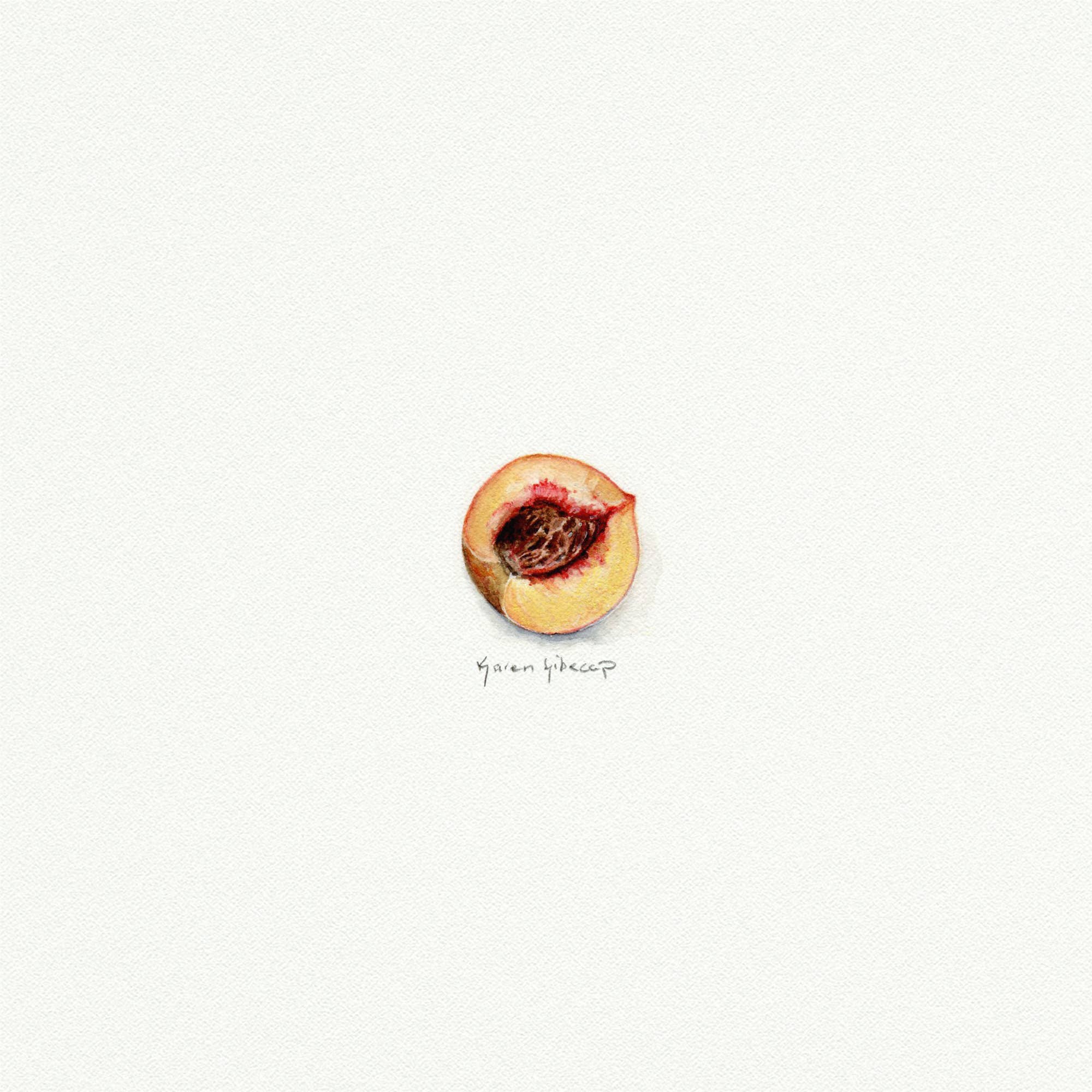 Peach Miniature Watercolor Print - Box Turtle