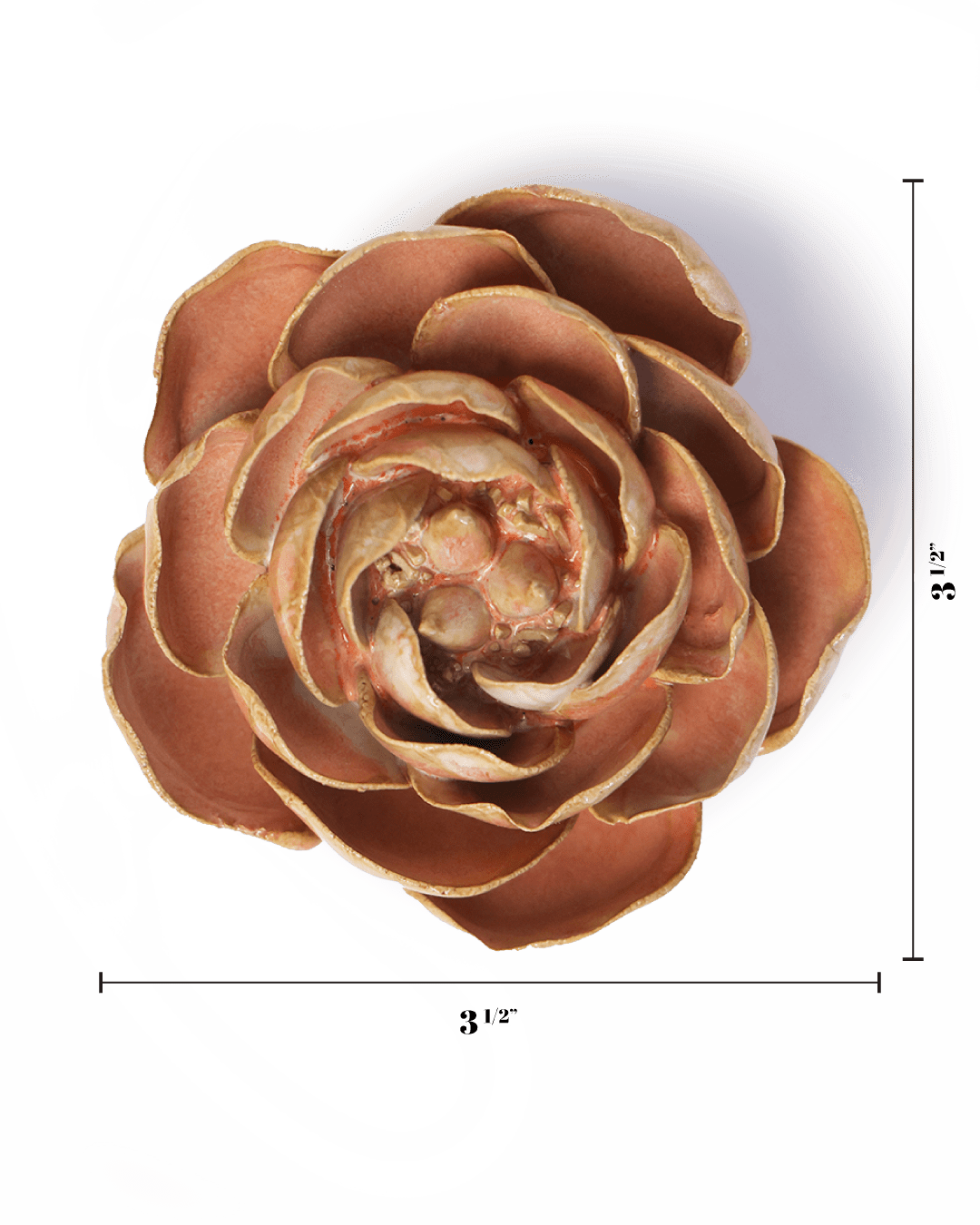 Peach Pink Big Ben Peony Ceramic Flower - Box Turtle