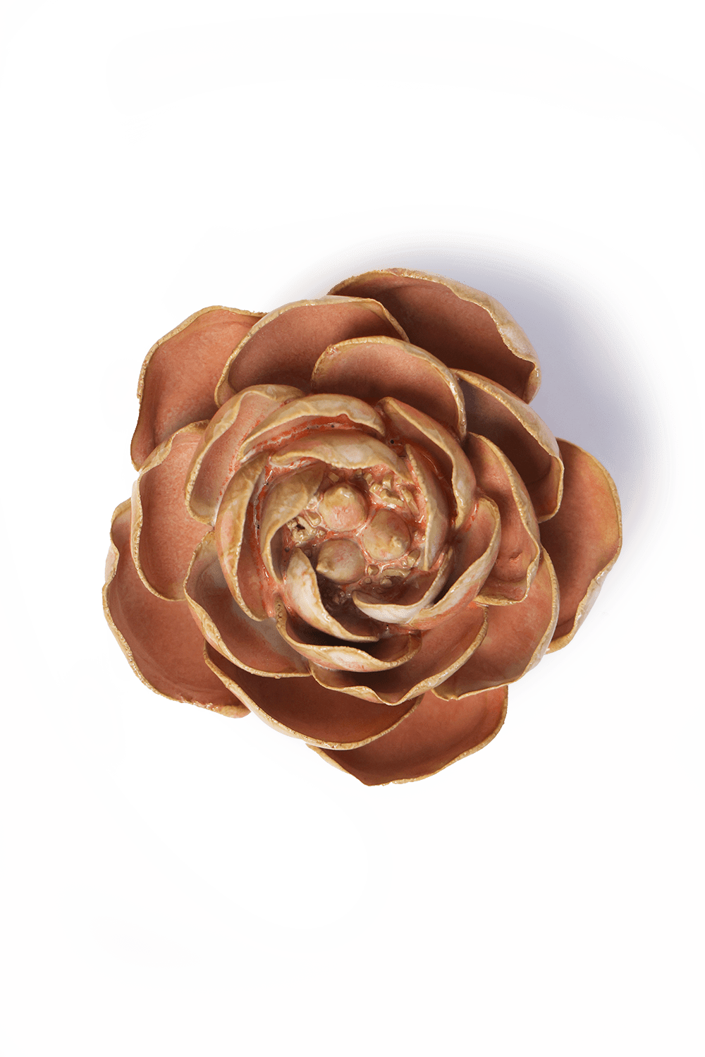 Peach Pink Big Ben Peony Ceramic Flower - Box Turtle