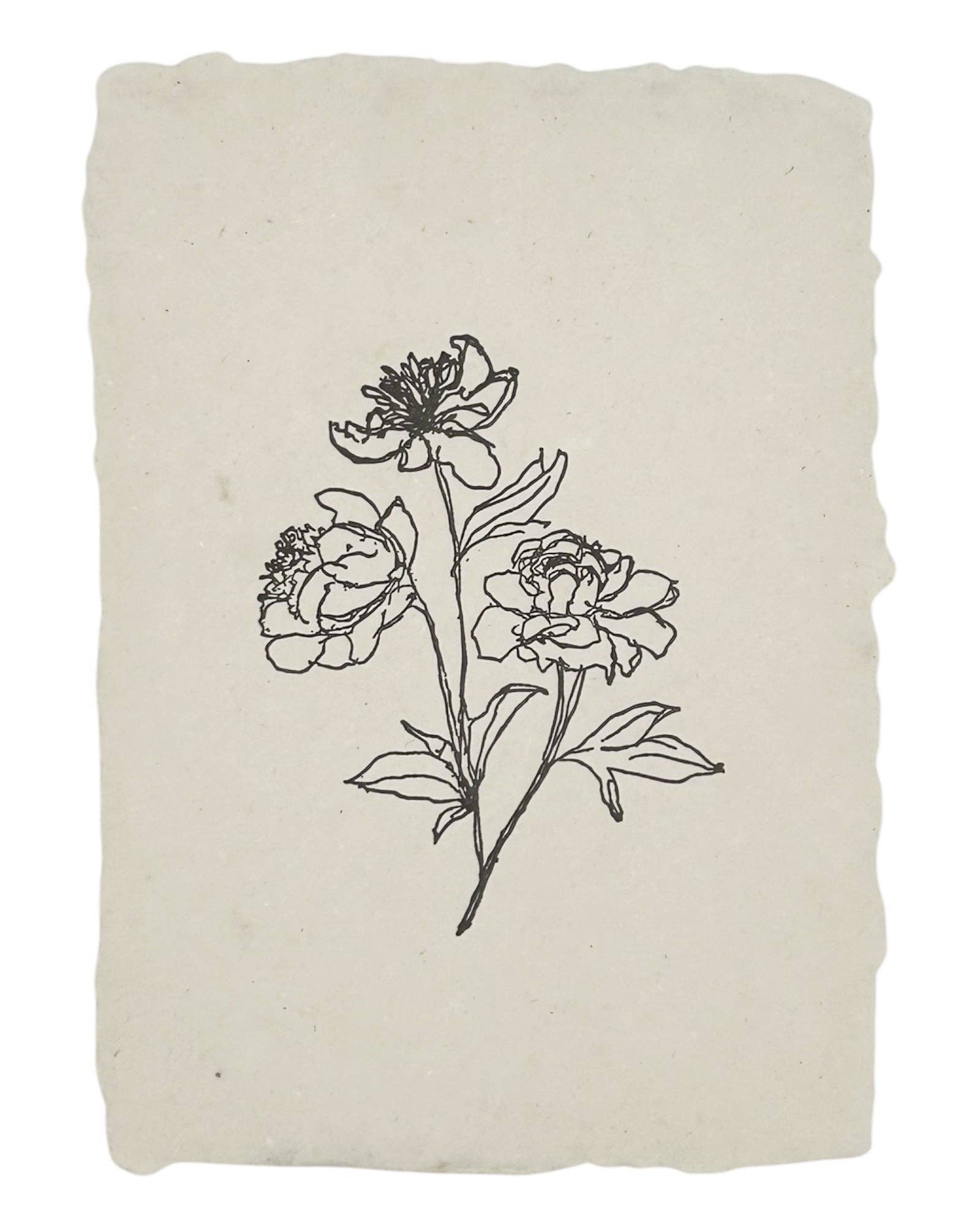 Peony Stems Art Print - Box Turtle