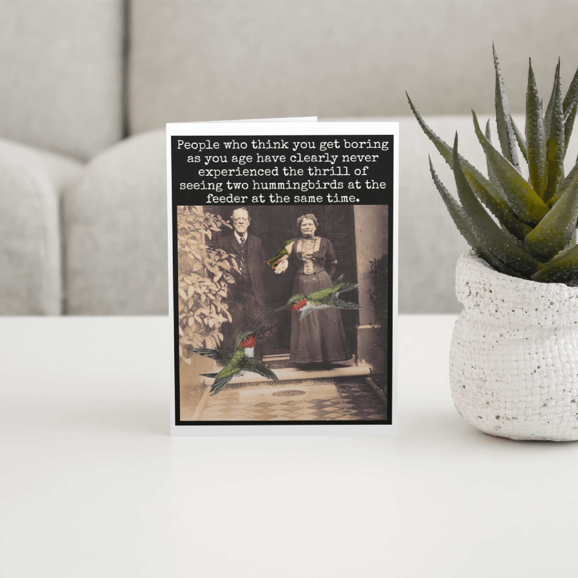 People Who Think You Get Boring Birthday Card - Box Turtle
