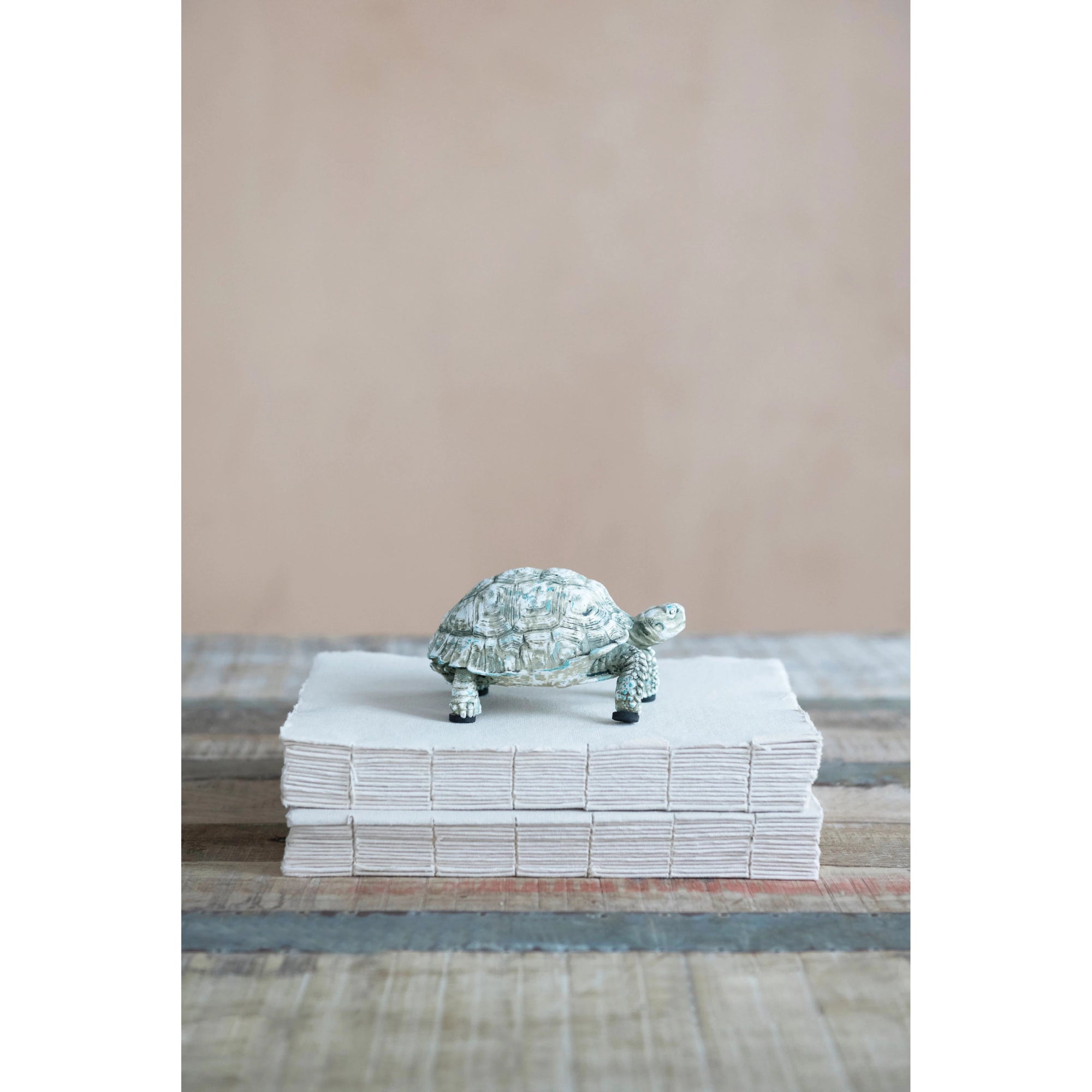 Peppy Turtle - Box Turtle