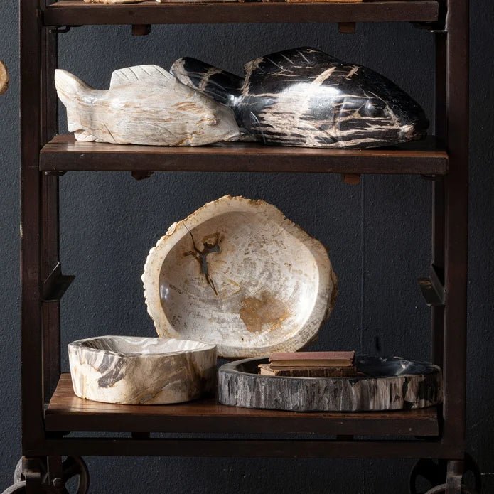 Petrified Wood Tray - Box Turtle
