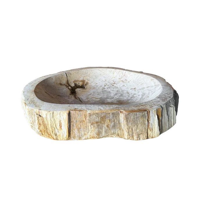 Petrified Wood Tray - Box Turtle