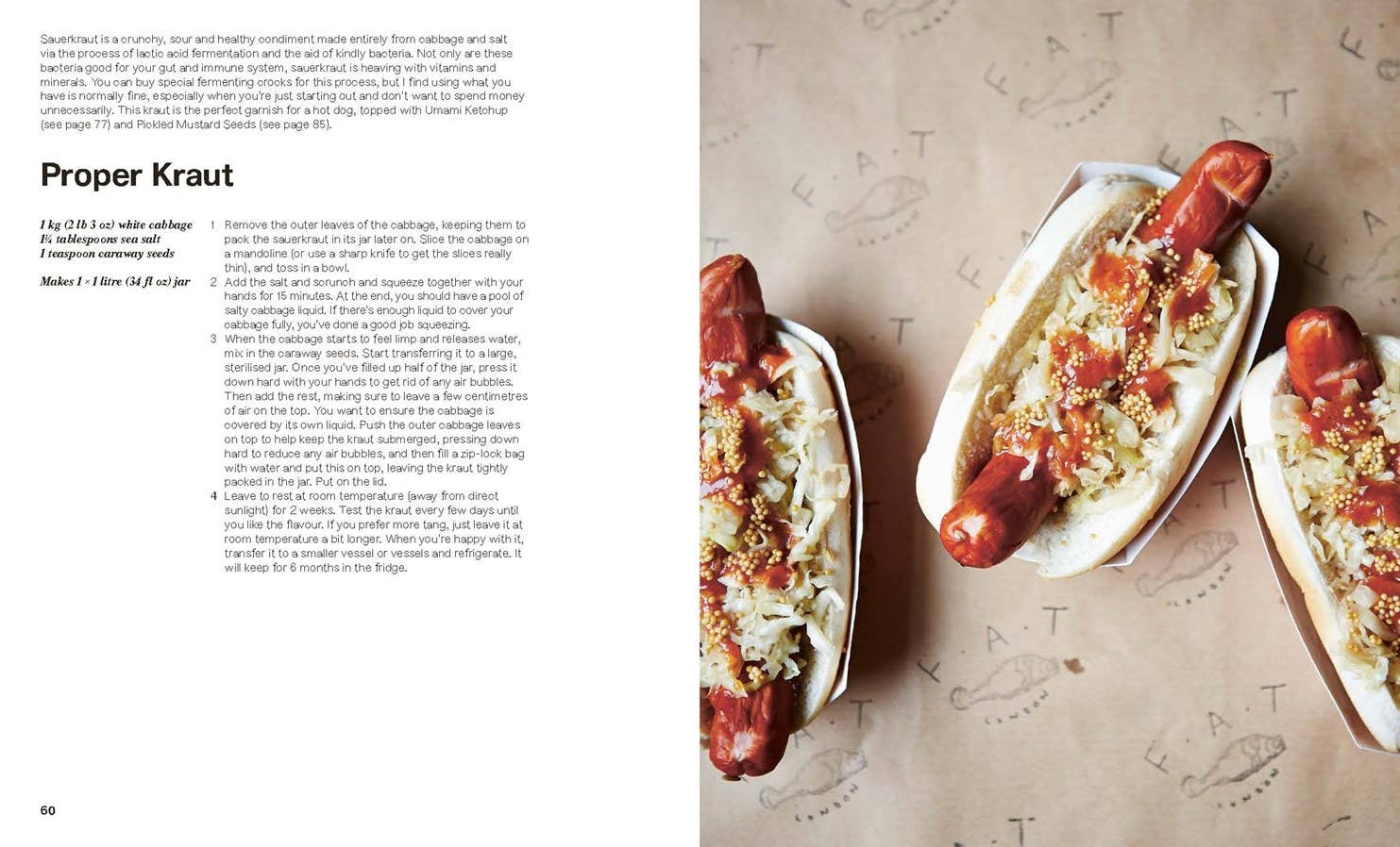 Pickled - Box Turtle