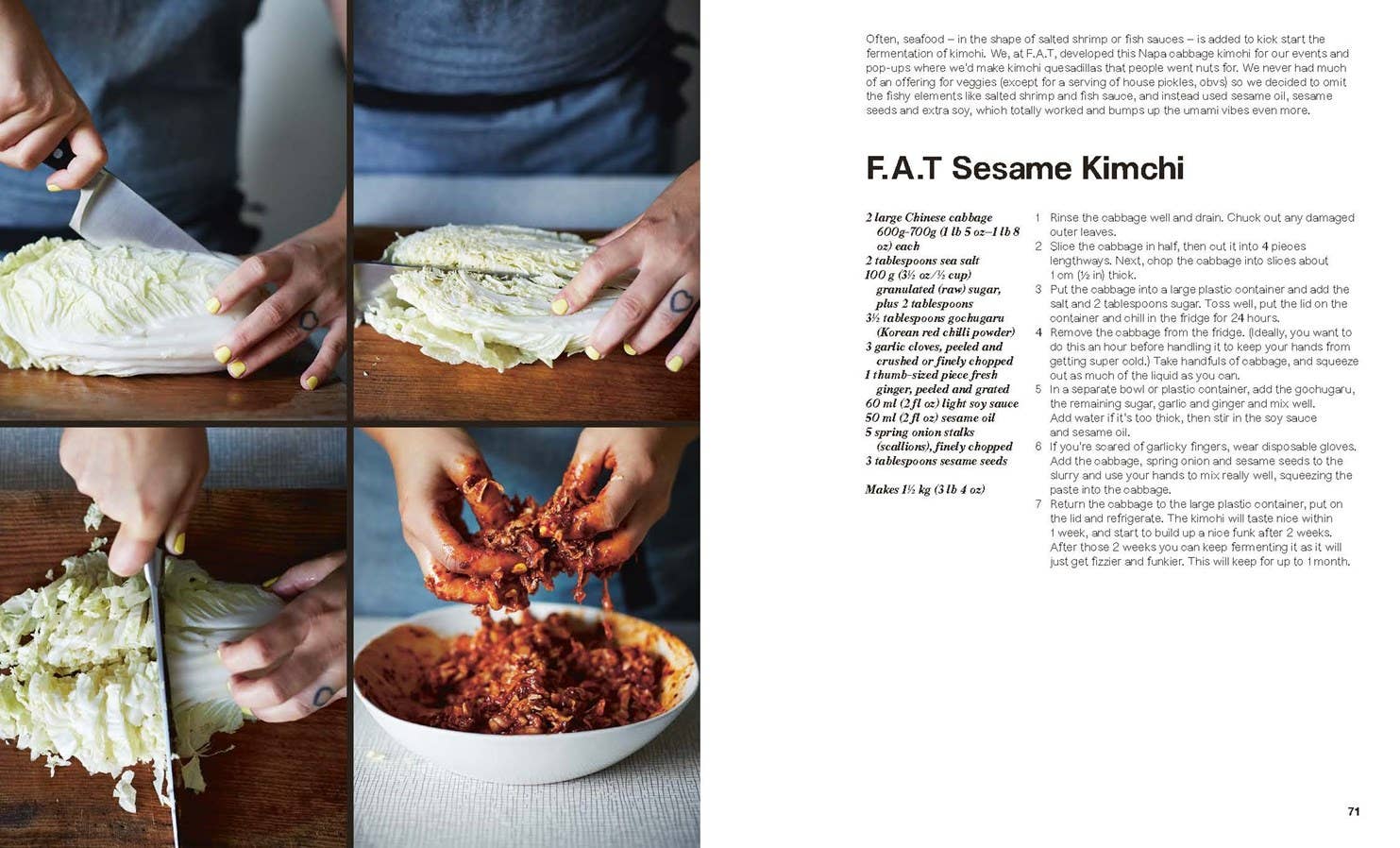 Pickled - Box Turtle