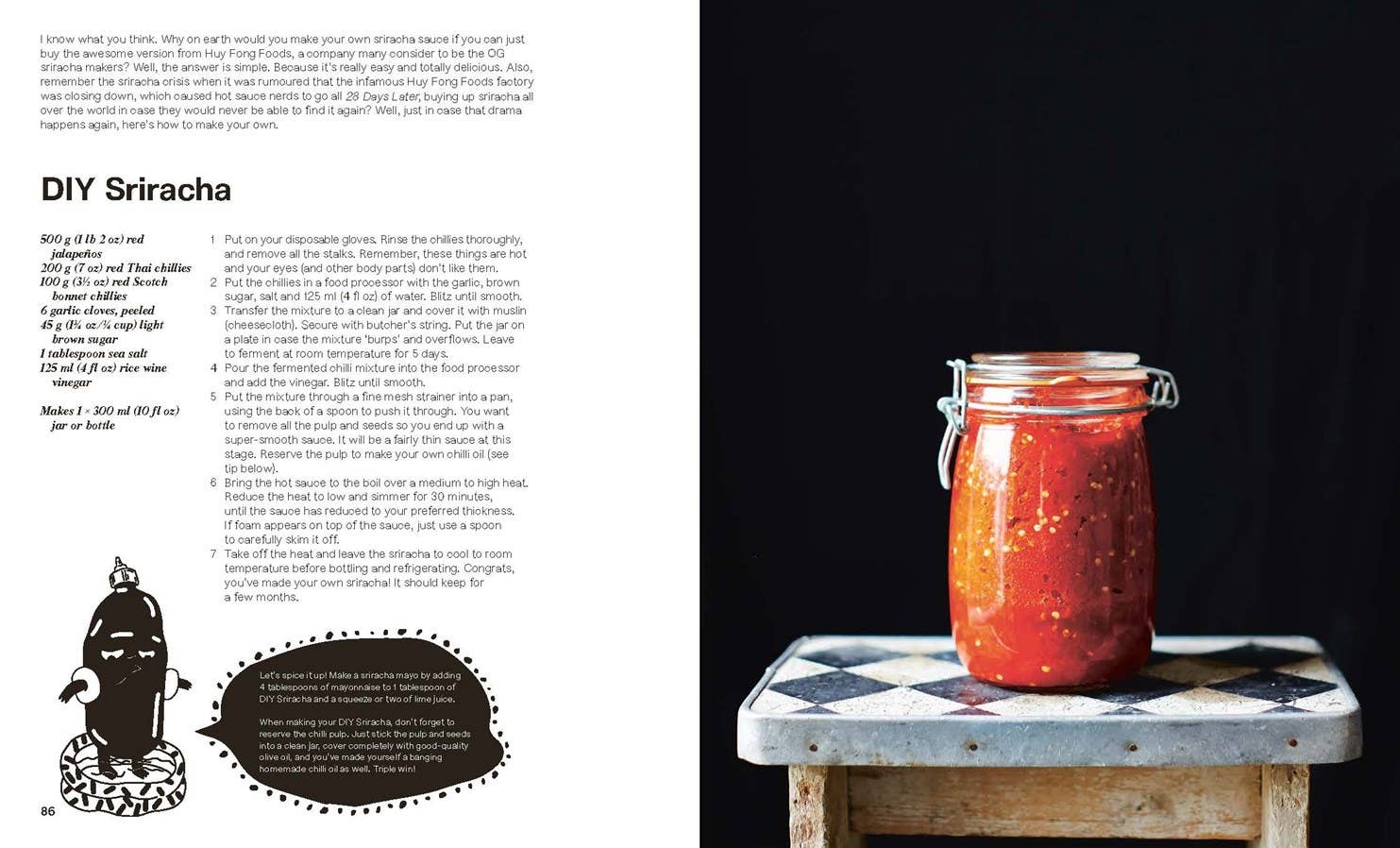 Pickled - Box Turtle