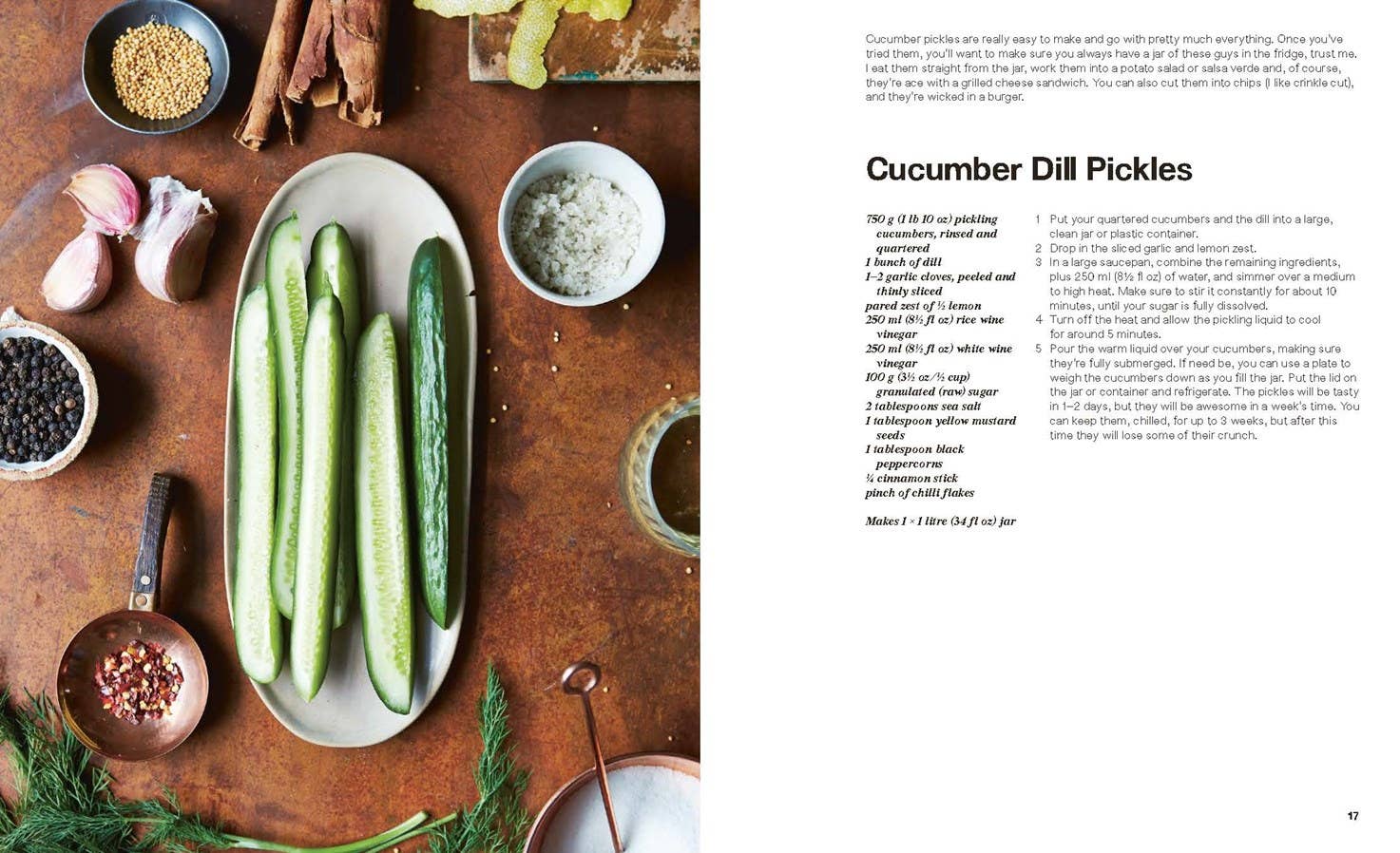 Pickled - Box Turtle