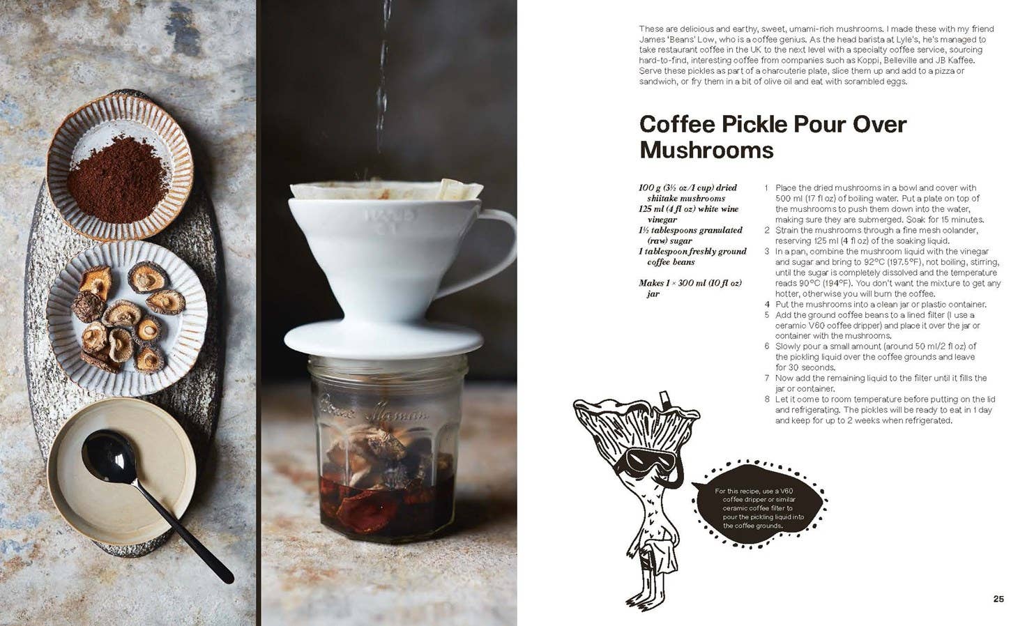 Pickled - Box Turtle