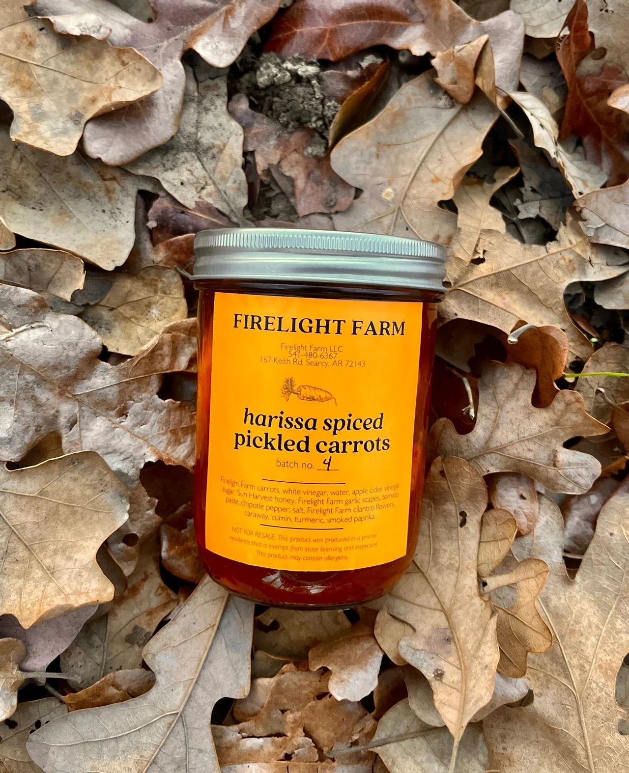 Pickled Carrots - Box Turtle