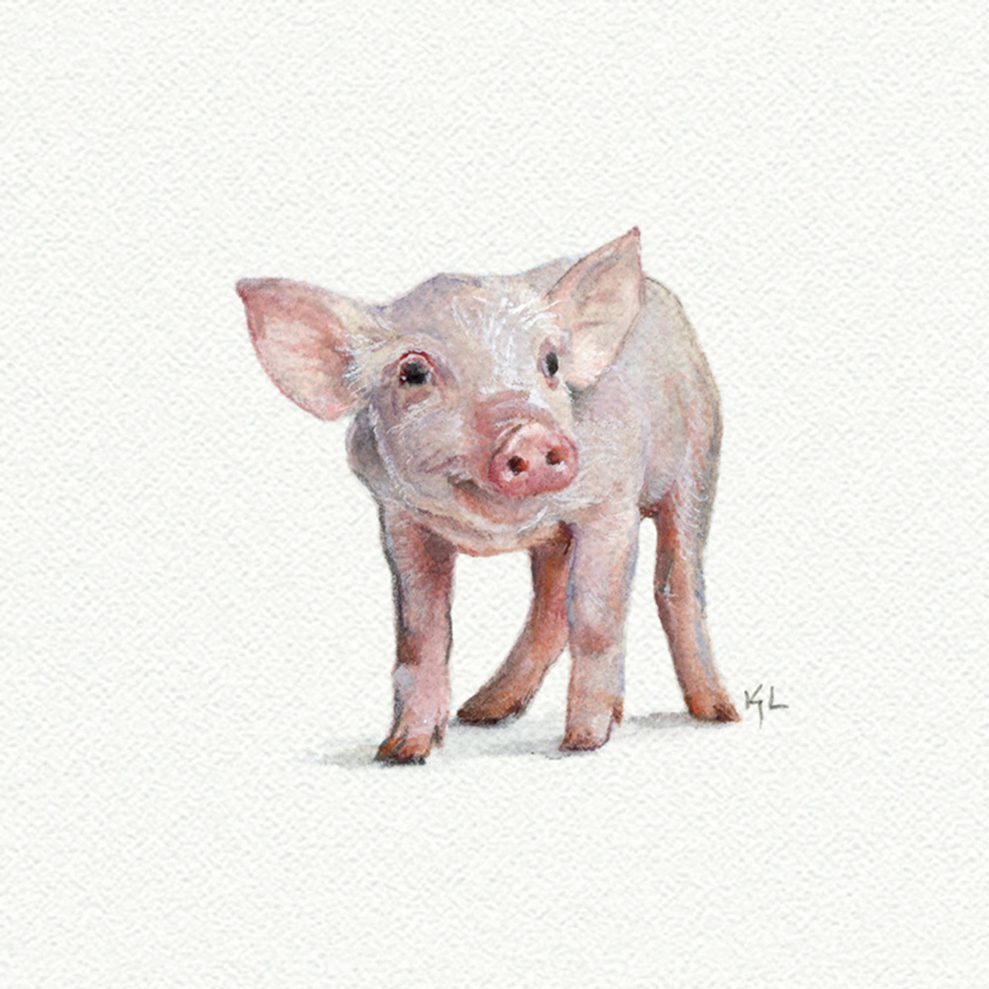 Pig Miniature Watercolor Print - Box Turtle