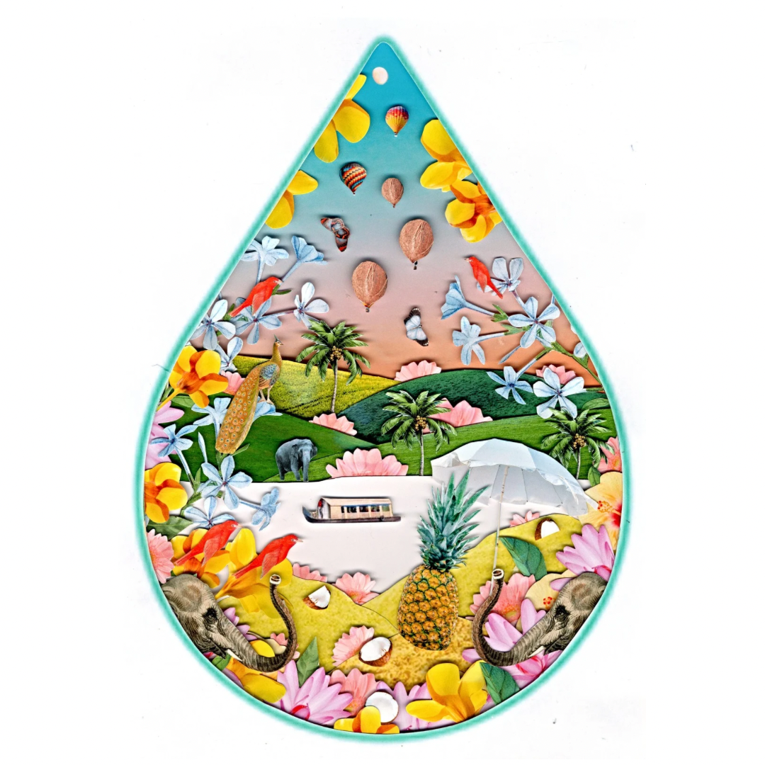 Pineapple + Coconut Oil - Box Turtle