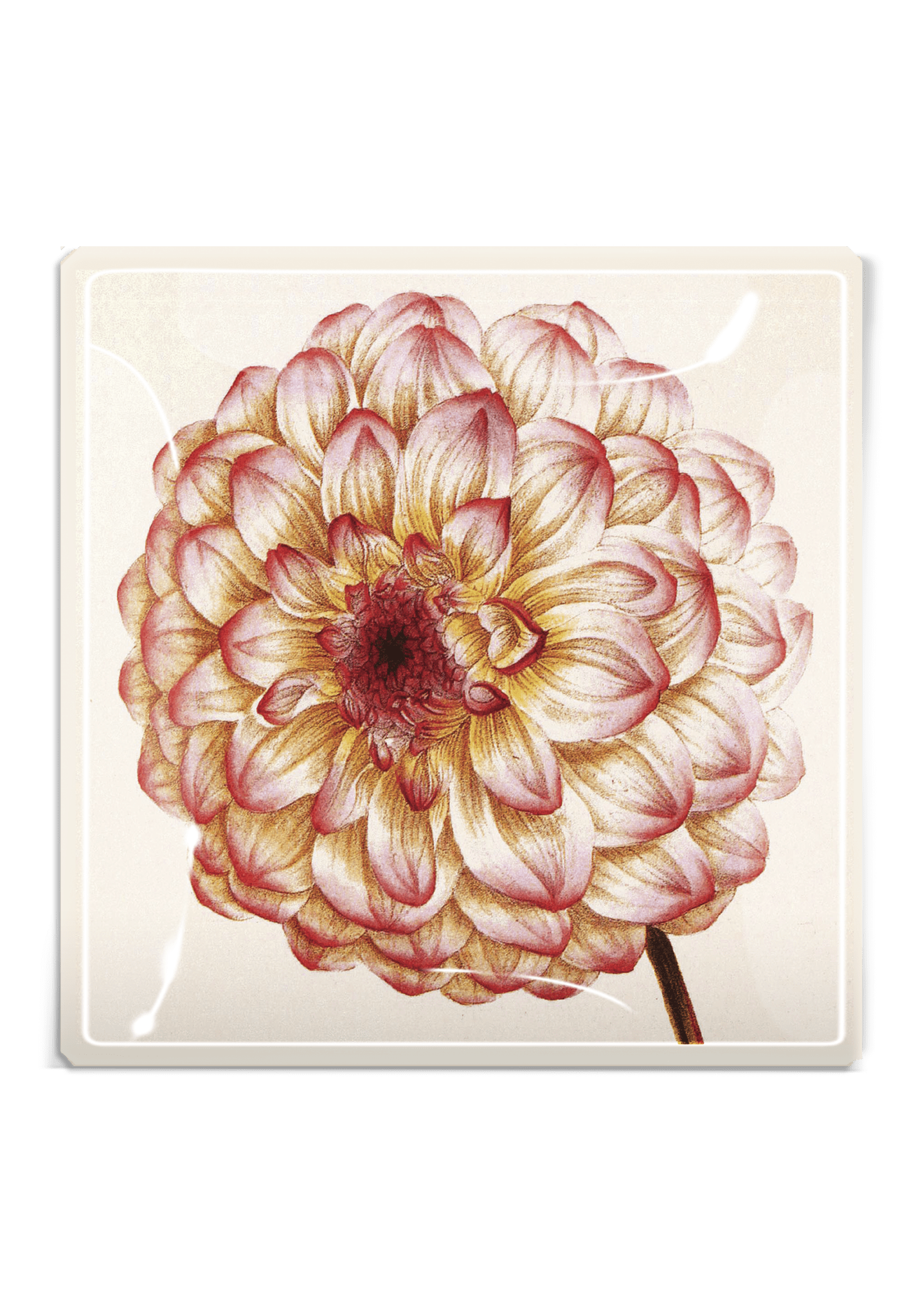 Pink Dahlia Decoupage Glass Tray - Box Turtle