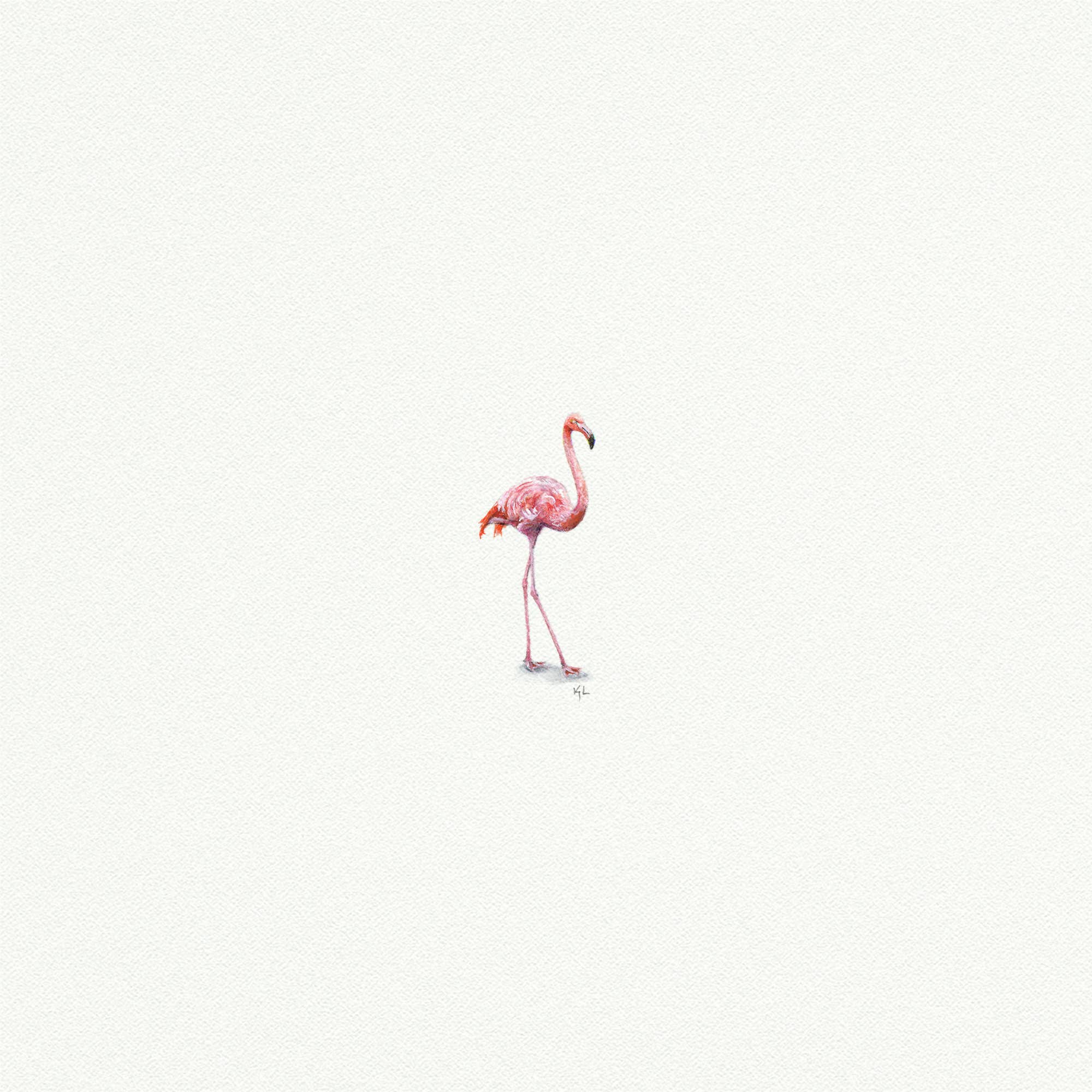 Pink Flamingo Miniature Watercolor Print - Box Turtle