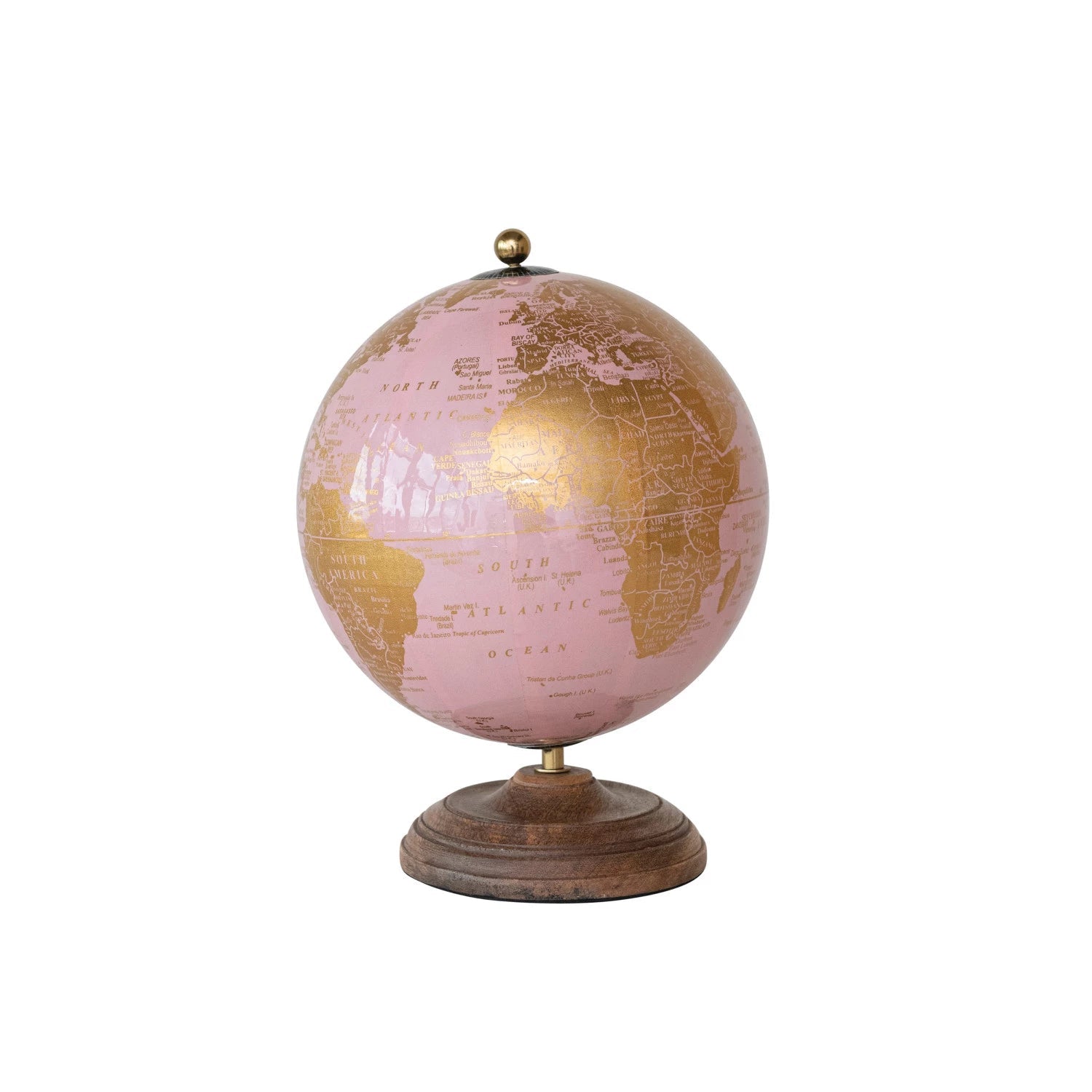 Pink Globe - Box Turtle