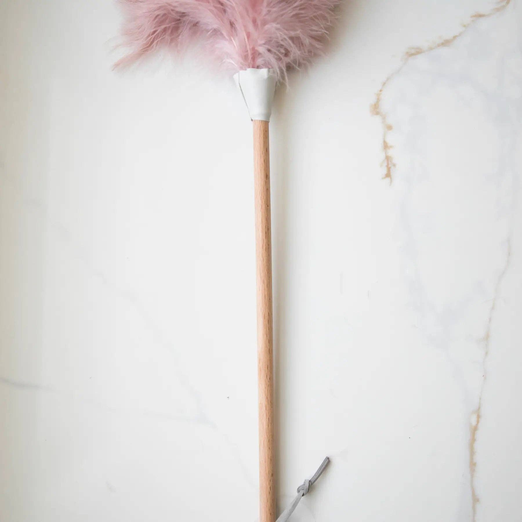 Pink Ostrich Feather Duster - Box Turtle