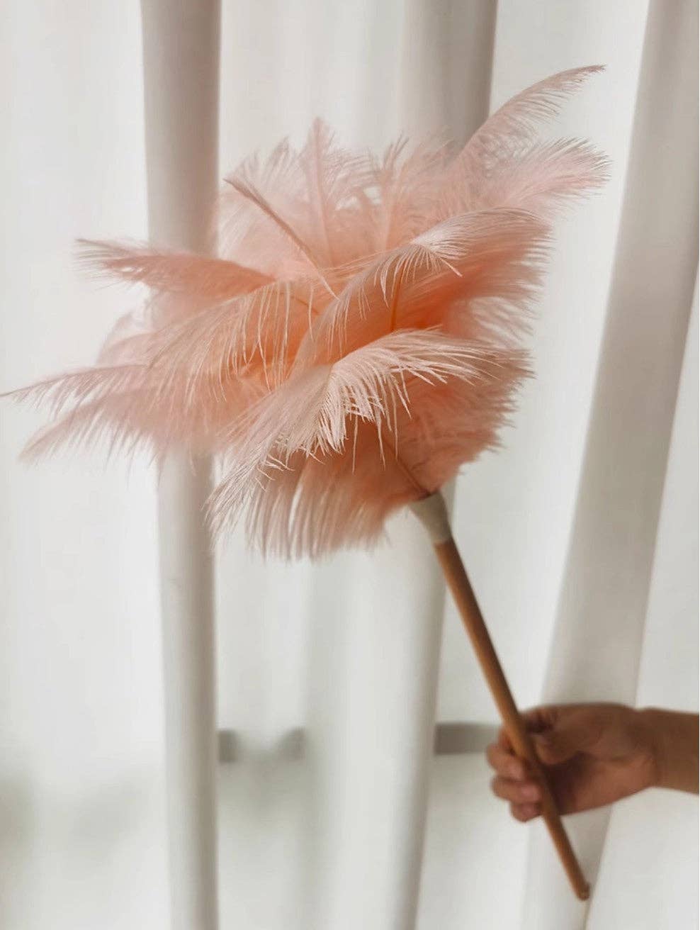 Pink Ostrich Feather Duster - Box Turtle