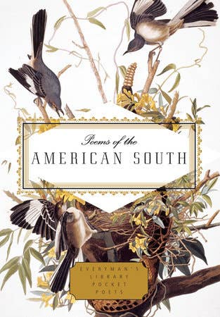 Poems Of The American South - Box Turtle