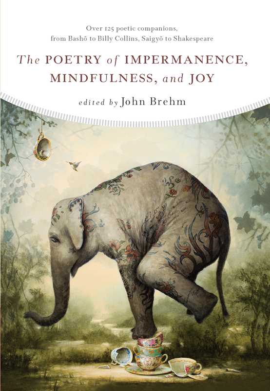 Poetry of Impermanence, Mindfulness, and Joy - Box Turtle