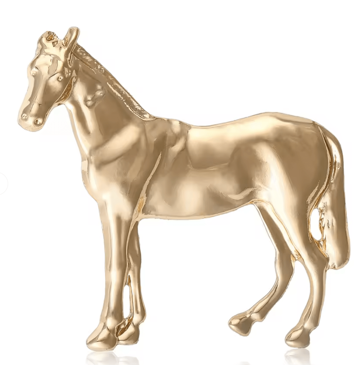 Pony Broach Horse Pin - Box Turtle