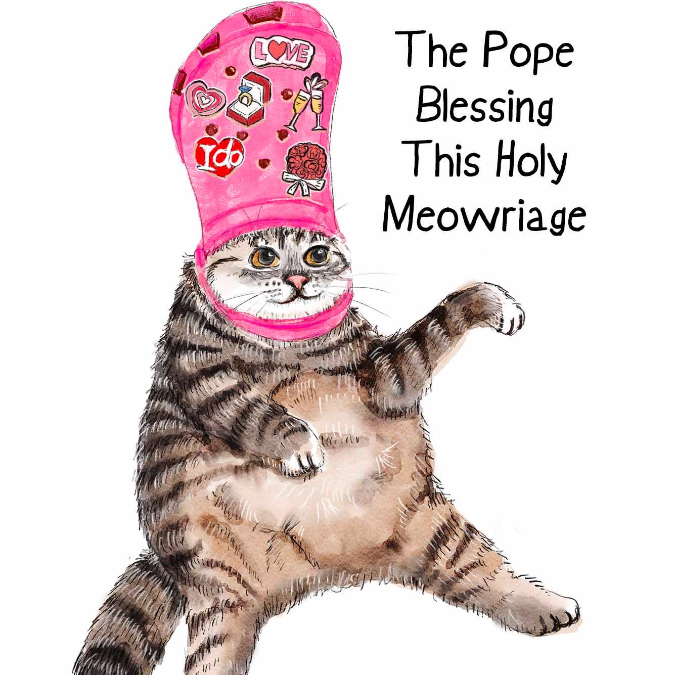 Pope Blessing Marriage - Funny Wedding Card - Box Turtle