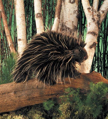 Porcupine Puppet - Box Turtle