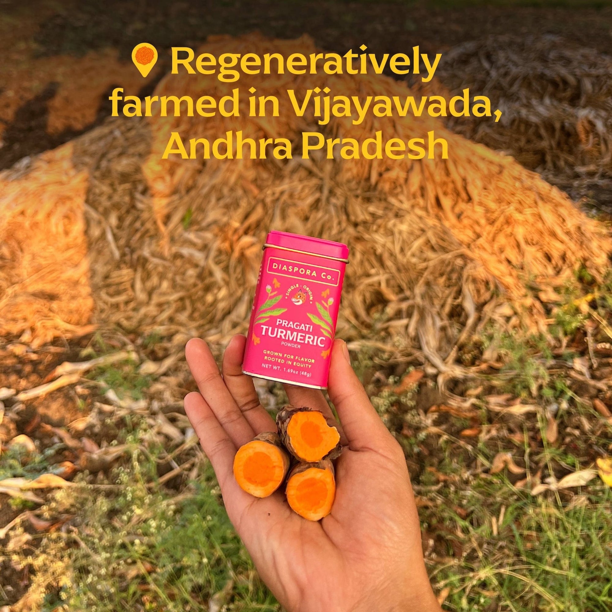 Pragati Turmeric Powder - Box Turtle