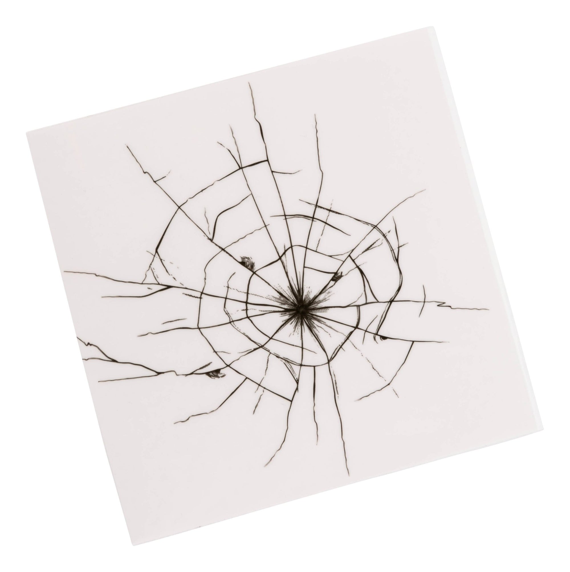 Prank U! Prank Stickers - Box Turtle