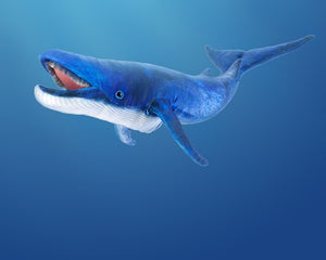 Blue Whale Puppet