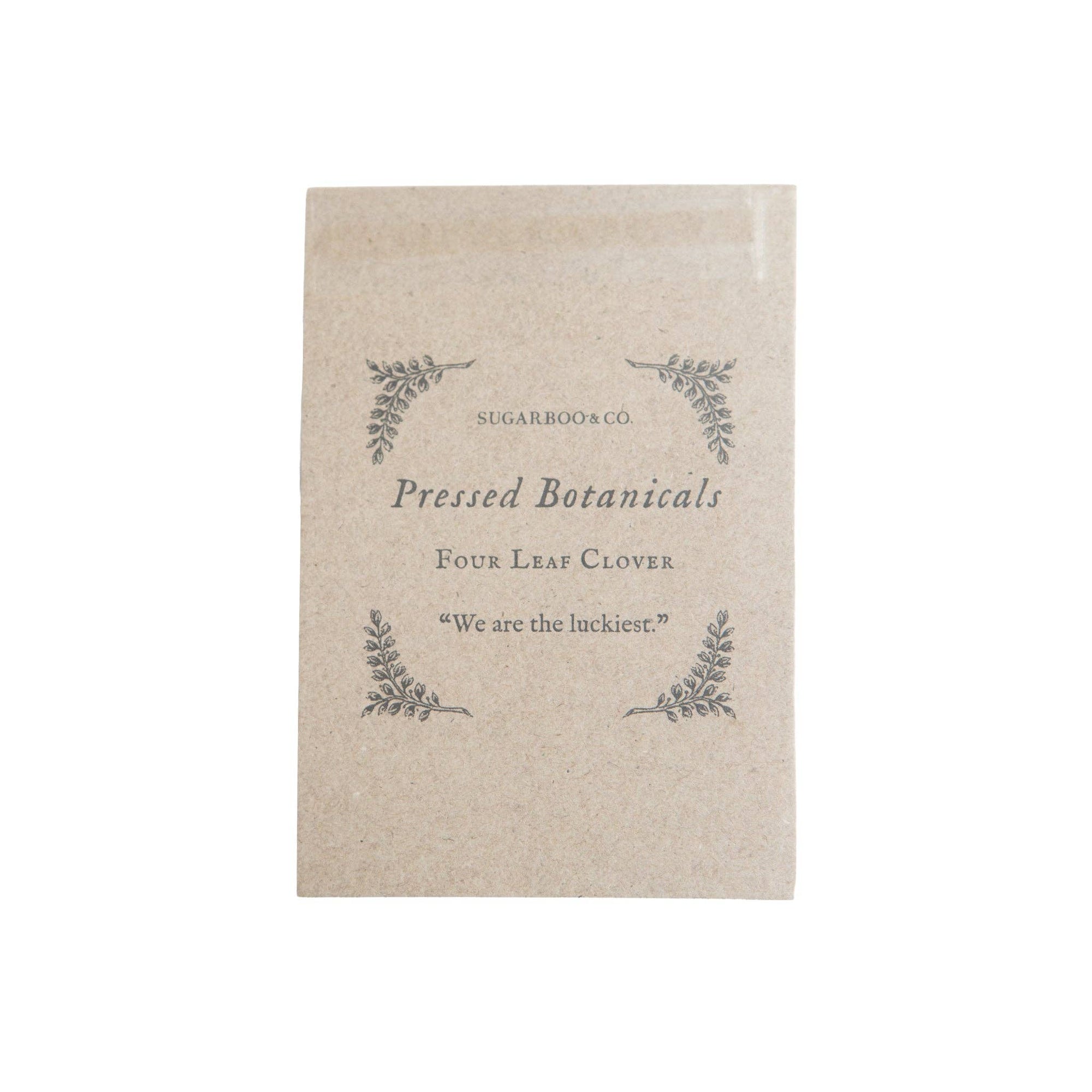 Pressed Four Leaf Clovers - Box Turtle