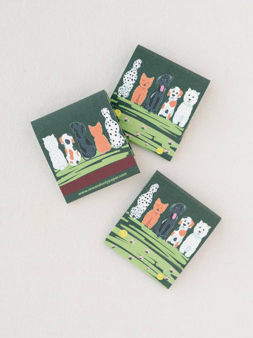 Puppy Pals Matchbook - Box Turtle