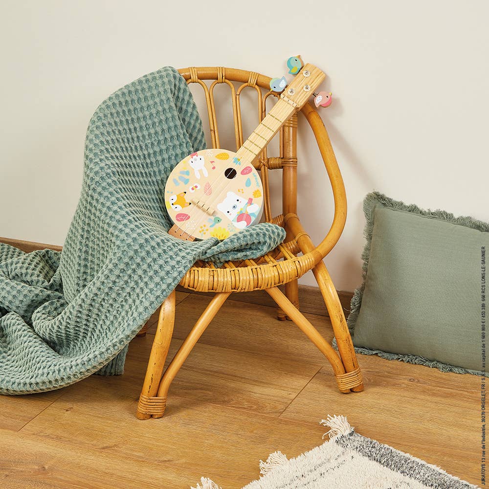 Pure Banjo - Box Turtle