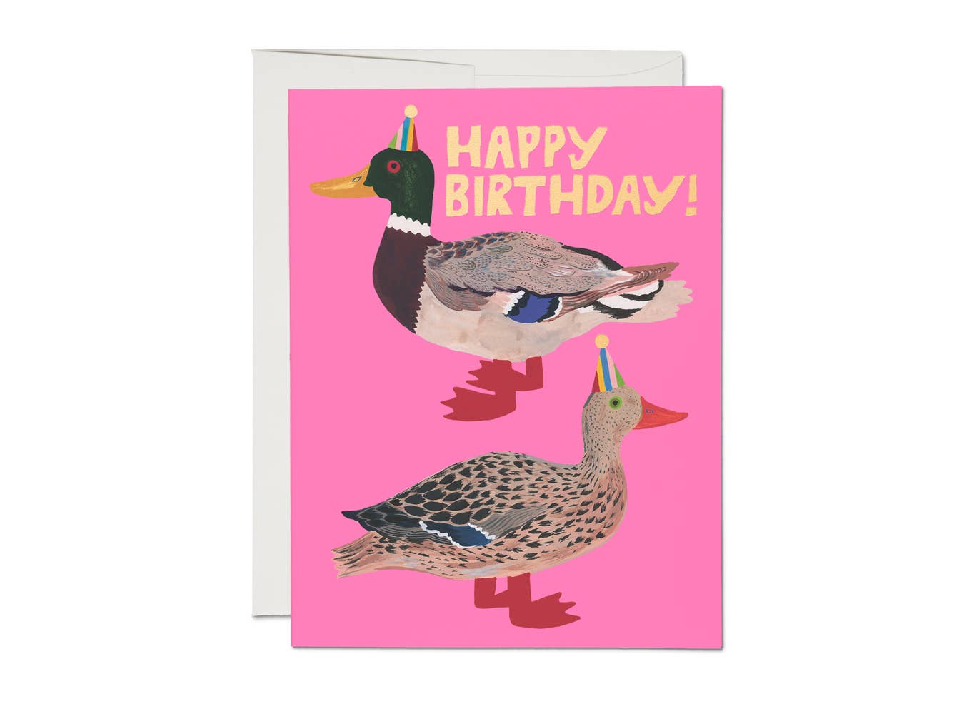 Quacky Birthday greeting card - Box Turtle