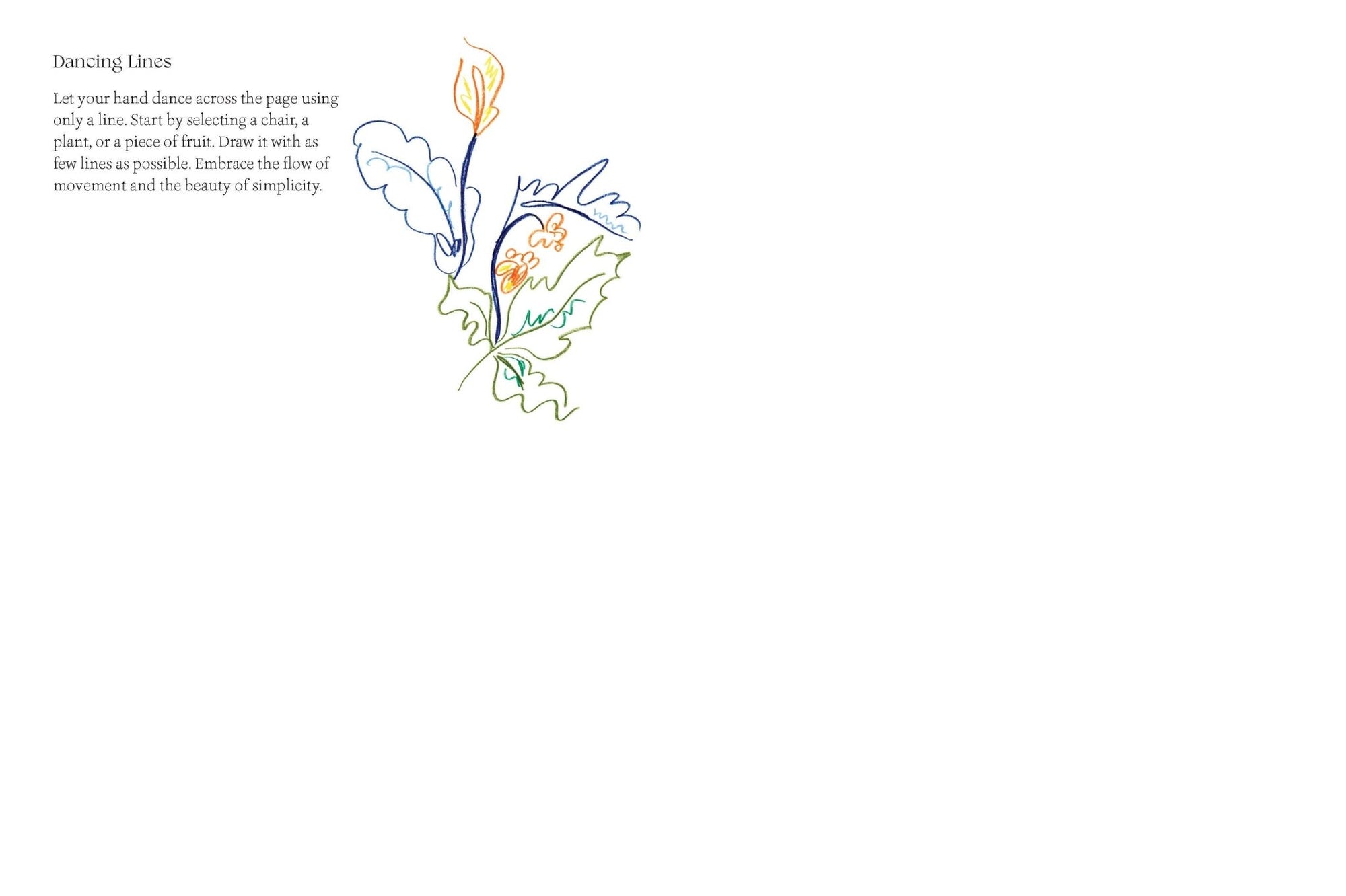 Quiet Moments: A Guided Sketchbook - Box Turtle