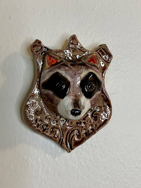 Raccoon on a Plaque - Box Turtle