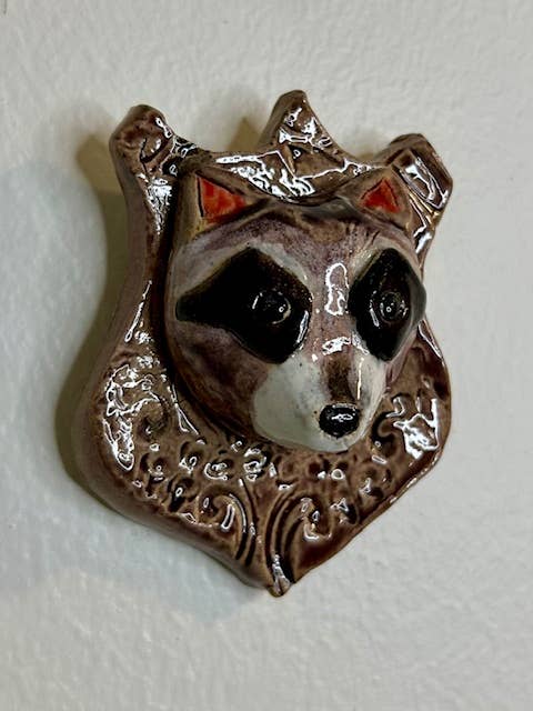 Raccoon on a Plaque - Box Turtle