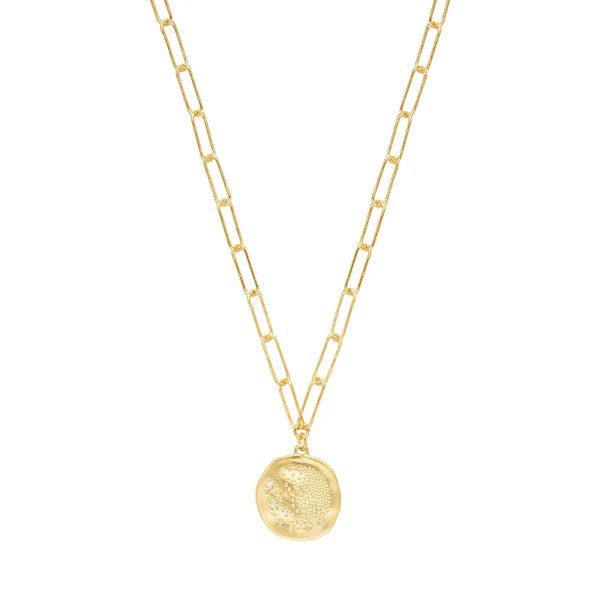 Rain Of Love Necklace - Box Turtle