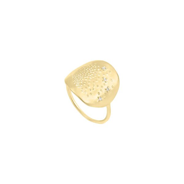 Rain Of Love Ring - Box Turtle
