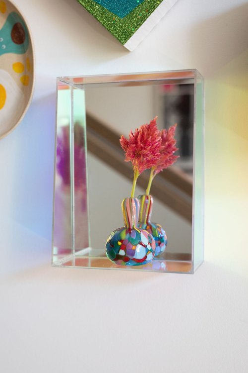 Rainbow Mini Vases - Box Turtle