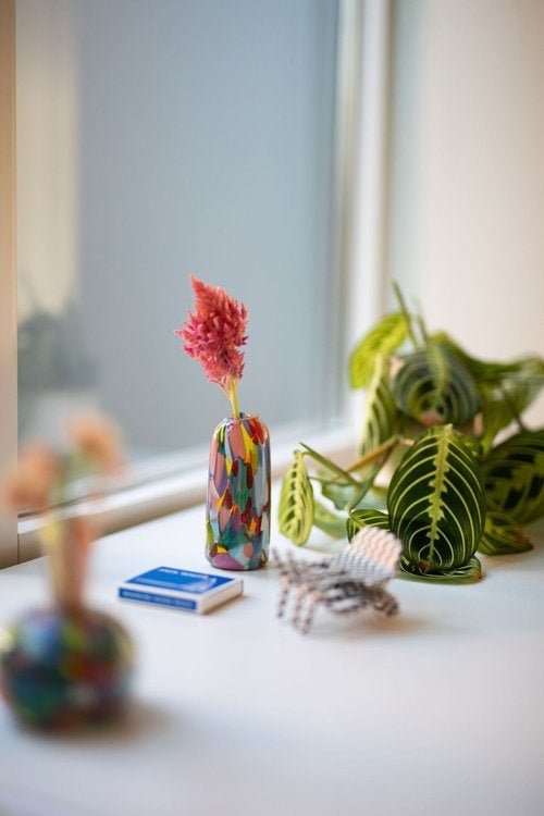 Rainbow Mini Vases - Box Turtle